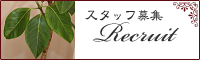 スタッフ募集情報